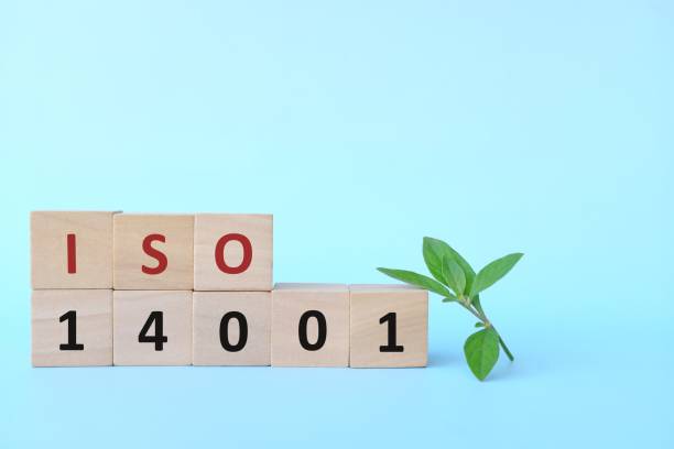 ISO 14001 giúp doanh nghiệp quản lý toàn diện các vấn đề về môi trường